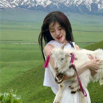 无境之兽